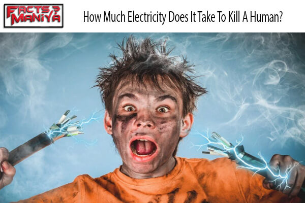 Electricity Does It Take To Kill A Human